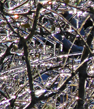 Austin Fine Art Photography